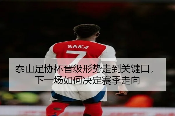 泰山足协杯晋级形势走到关键口，下一场如何决定赛季走向